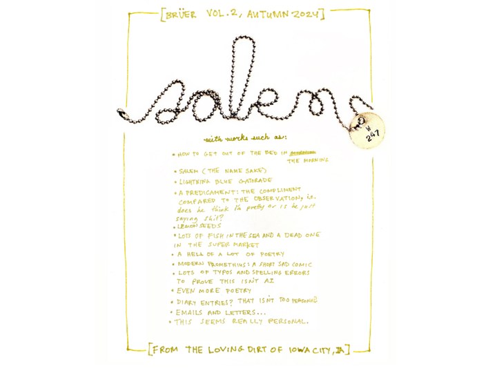 Zine Bruen Salem Cover preview